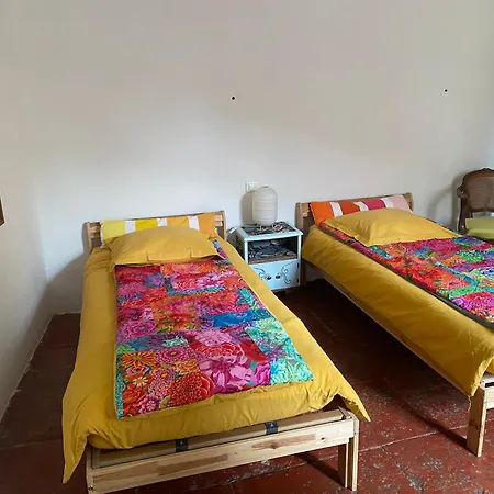 Le Petit Bio Du Rhony Bed & Breakfast Le Cailar