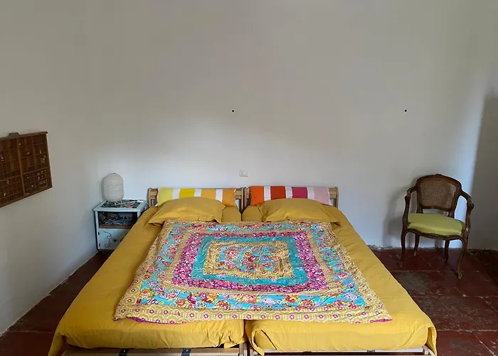 Bed & Breakfast Le Petit Bio Du Rhony Le Cailar
