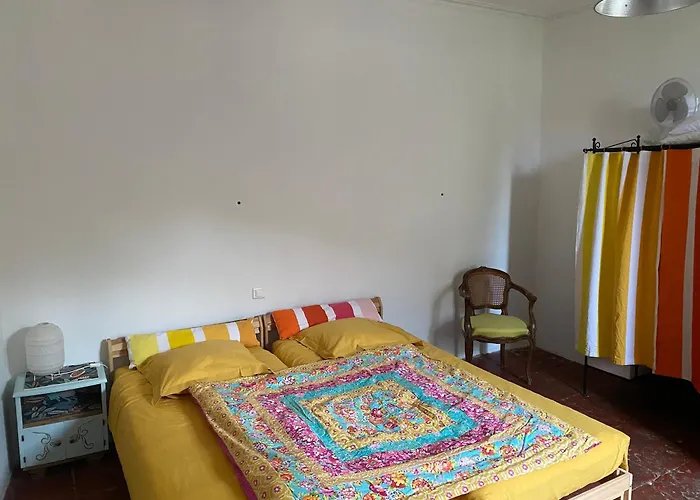 Le Petit Bio Du Rhony Bed & Breakfast